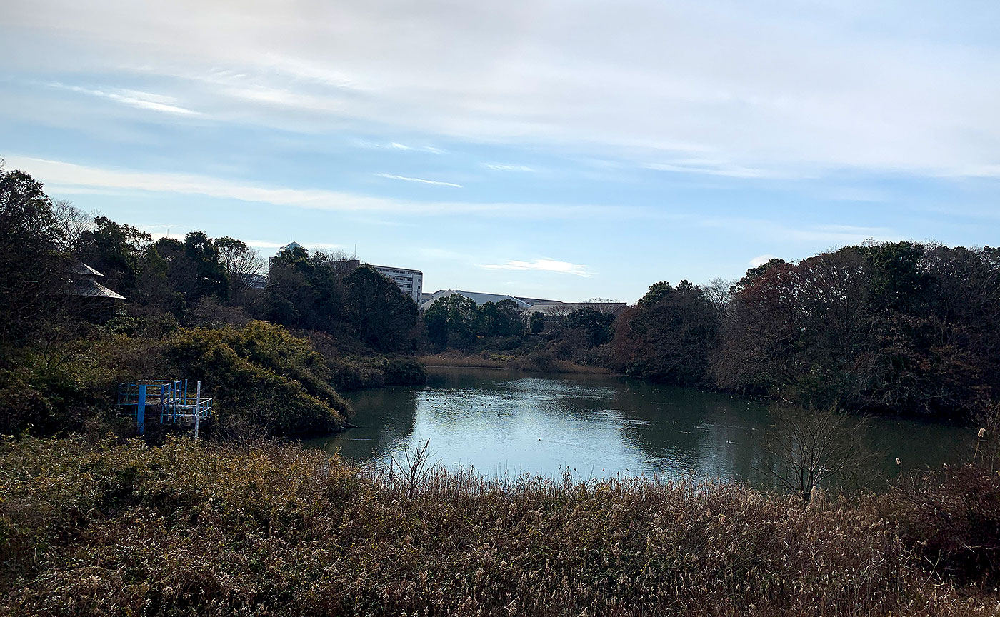 浦幡新田公園