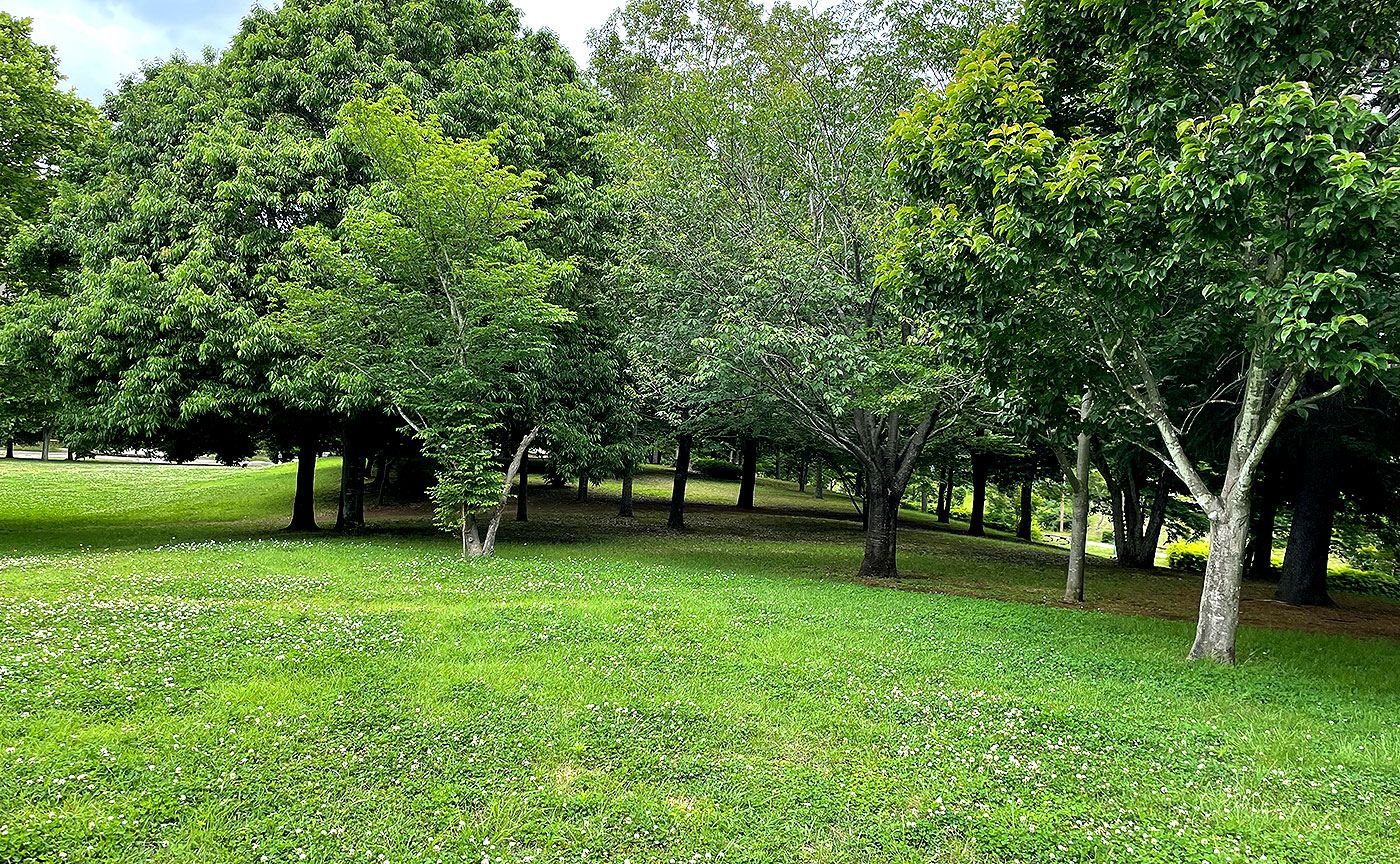 西の原公園