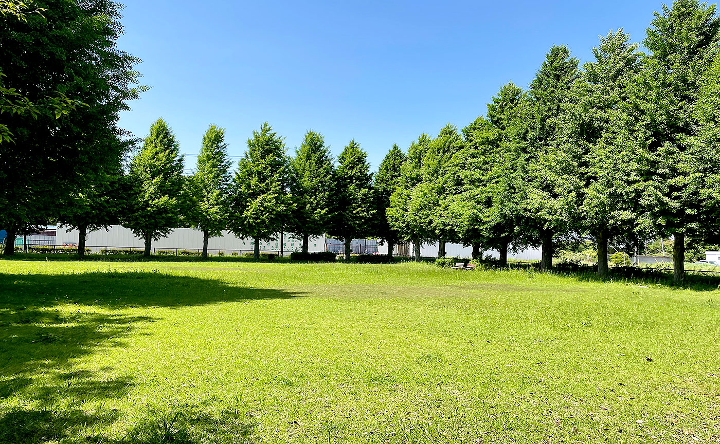 青菅大塚公園