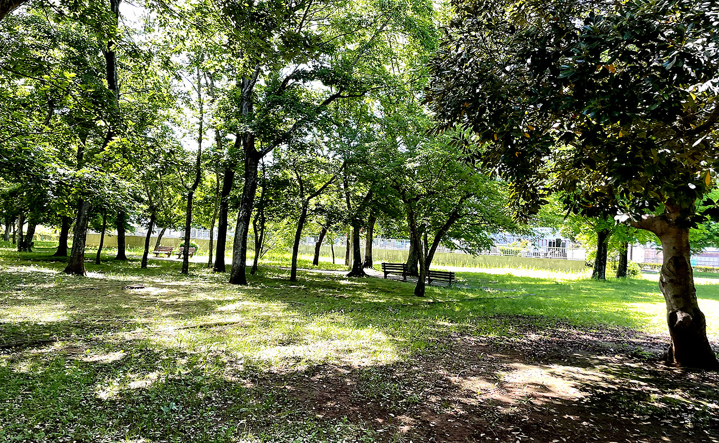 青菅大塚公園