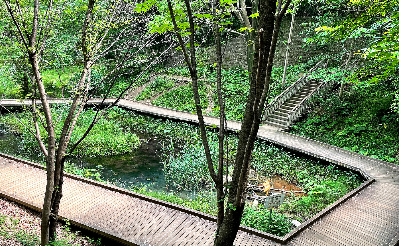 宮前美しの森公園-2