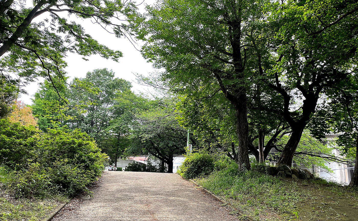 東名土橋公園-2