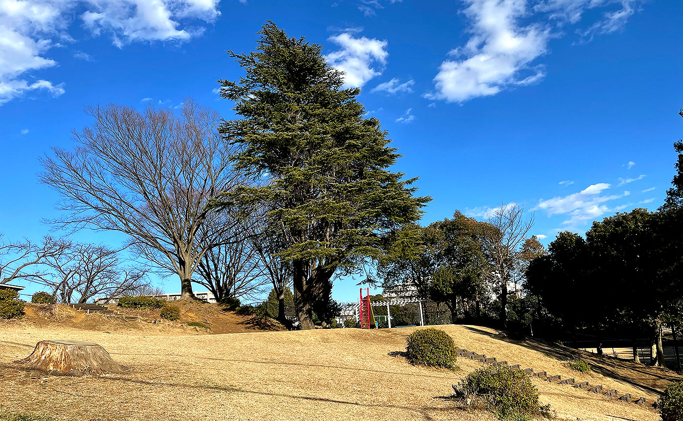 つきみ野1号公園-1