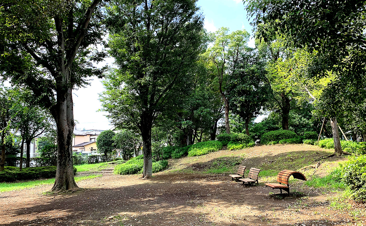 紅葉丘中央公園