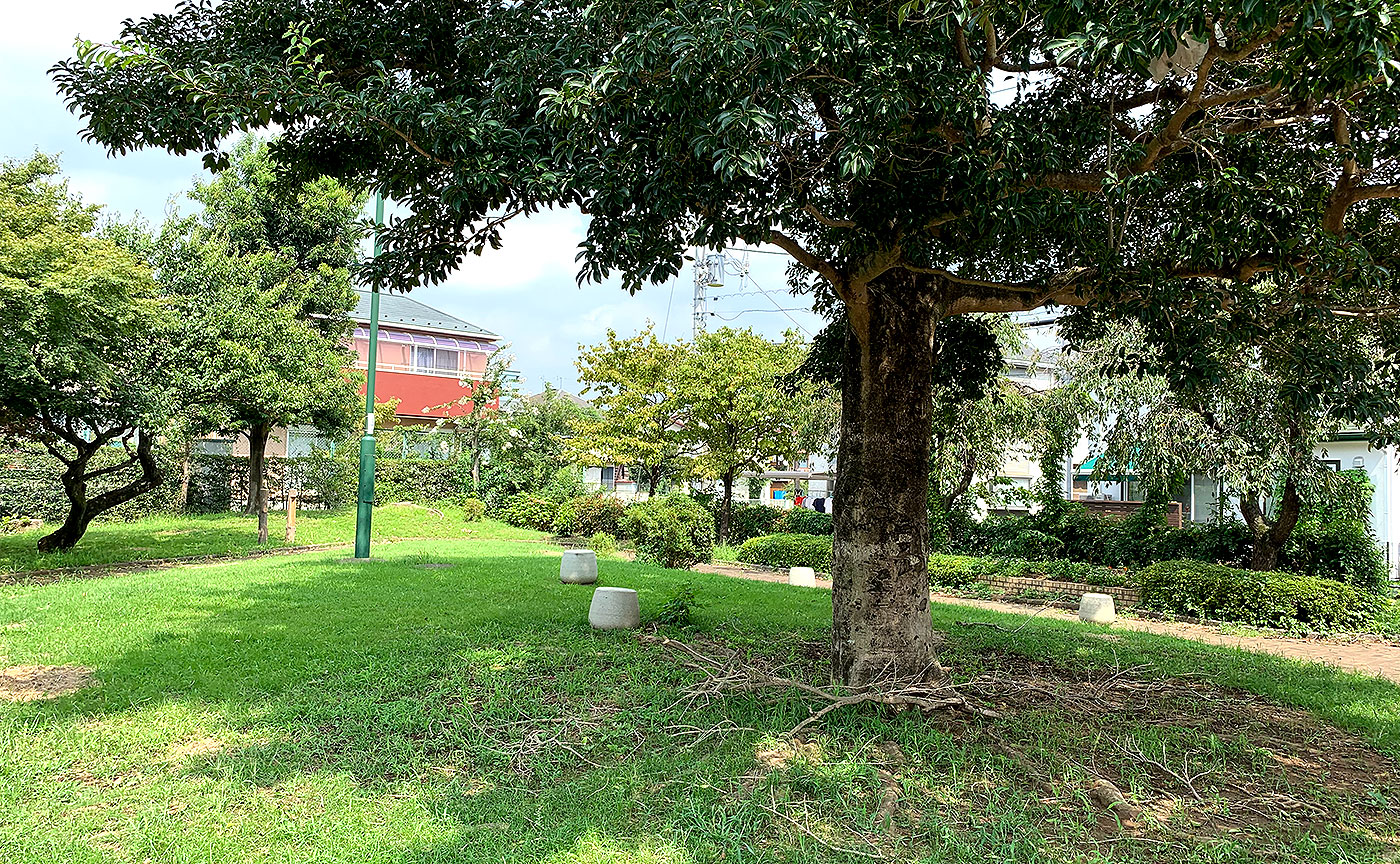 小柳前田公園