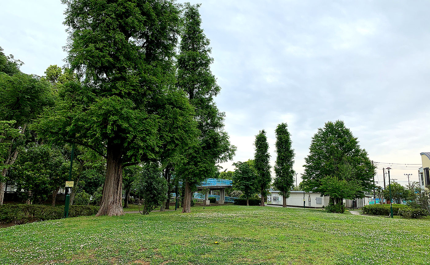 小柳公園