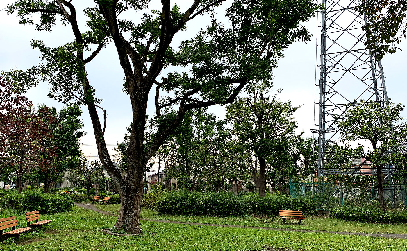 稲荷木公園