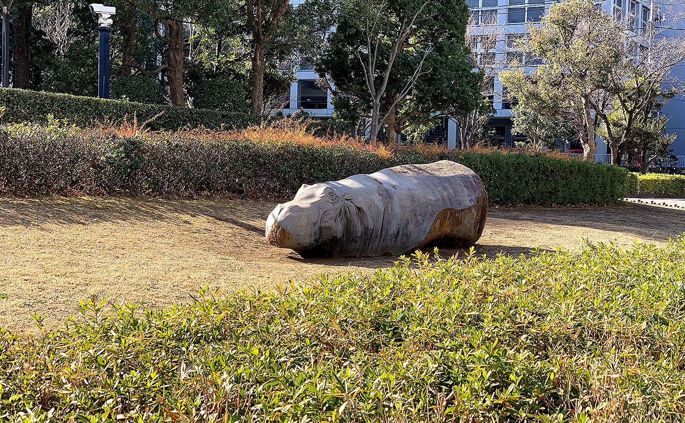 多摩川南町公園