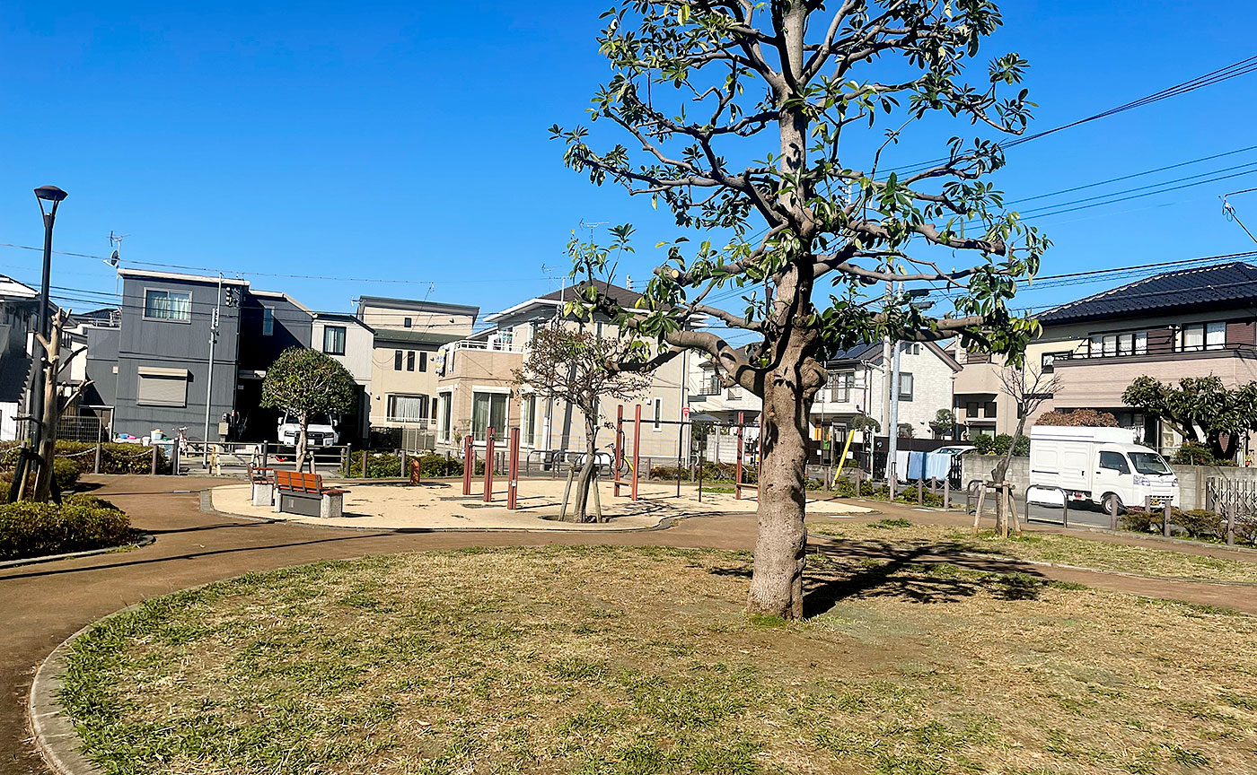 調布台タブノキ公園