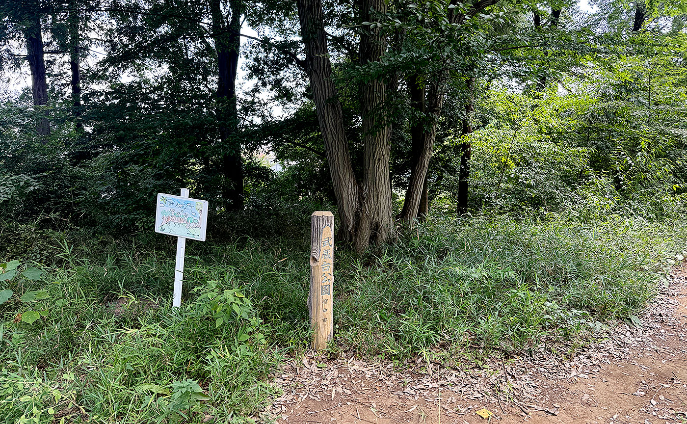 武蔵台公園
