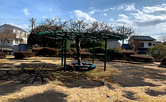 宝生寺公園