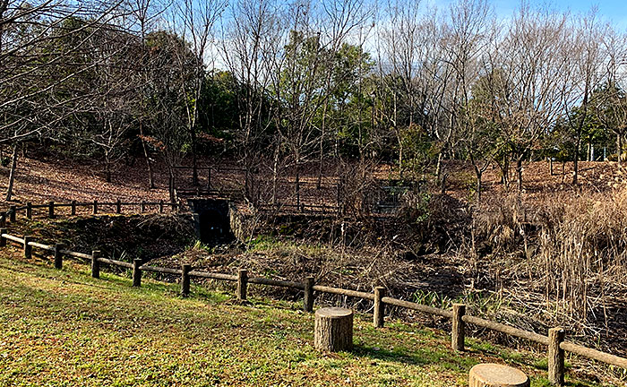 ゆりのき台中央公園