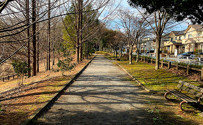 ゆりのき台中央公園