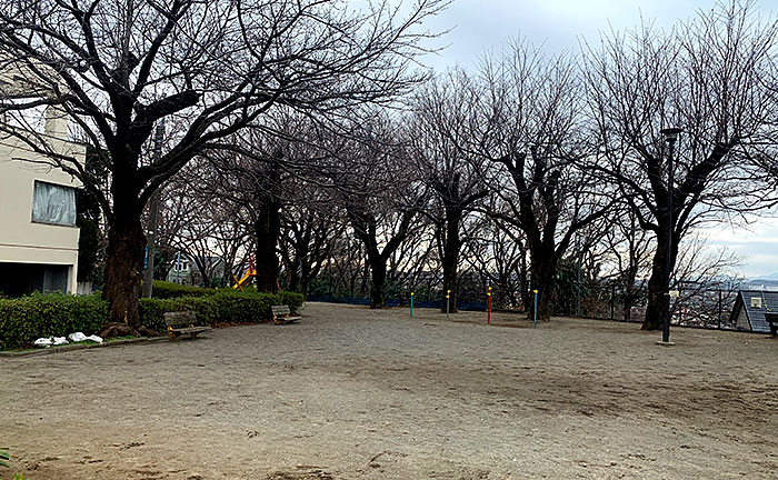 朝日ヶ丘富士見公園