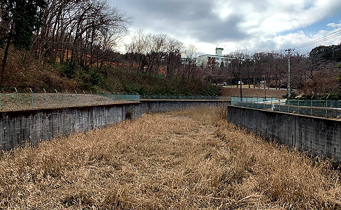 つつみの池公園