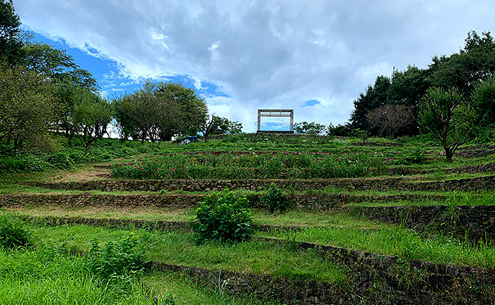 栃谷戸公園