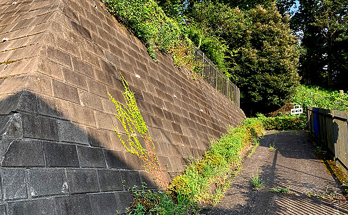 竜ヶ峰公園