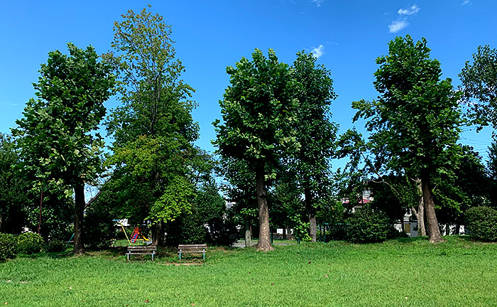 片倉台中央公園