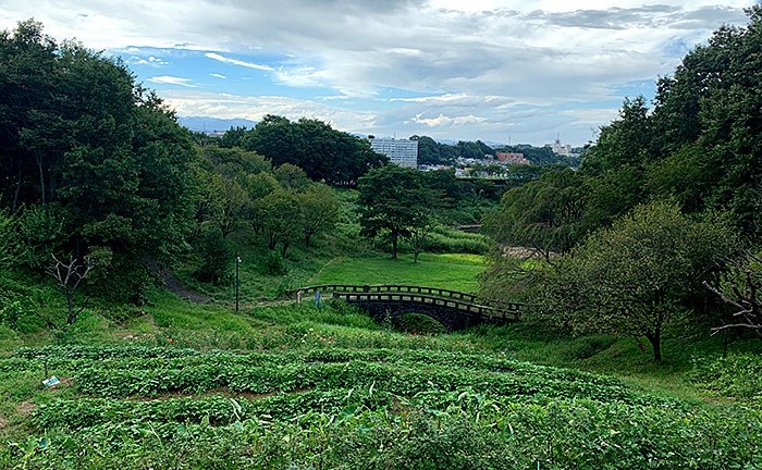 栃谷戸公園