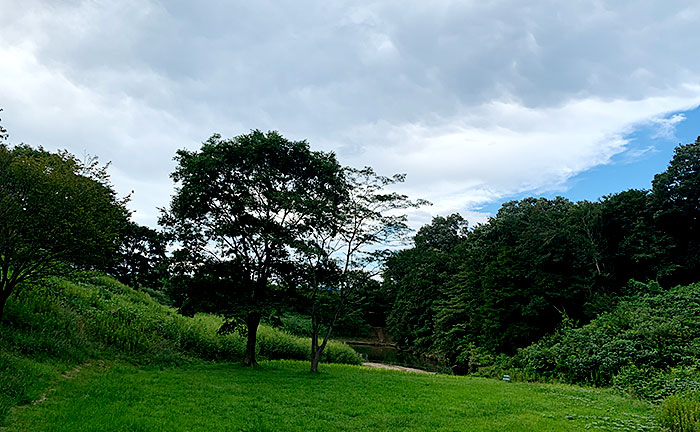 栃谷戸公園