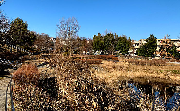 由木めぐみ野公園