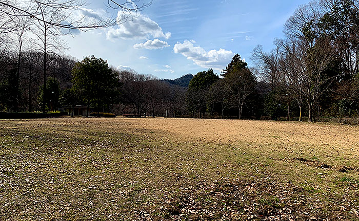 観栖寺台公園