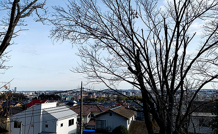 桜台公園