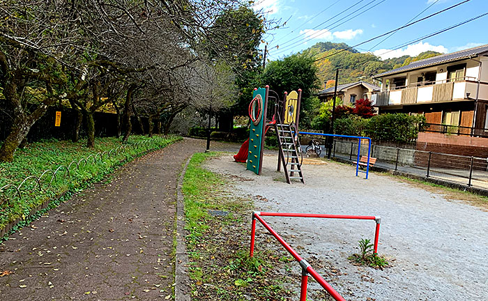 駒木野公園