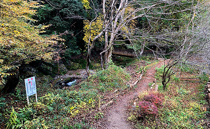 駒木野公園