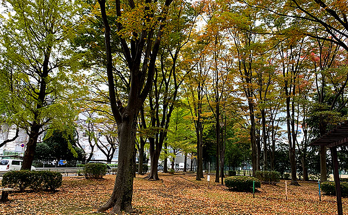 高倉公園