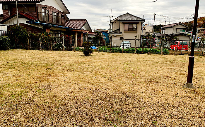 桜宮公園