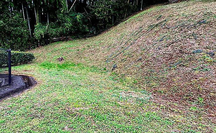 西片倉台浅間公園