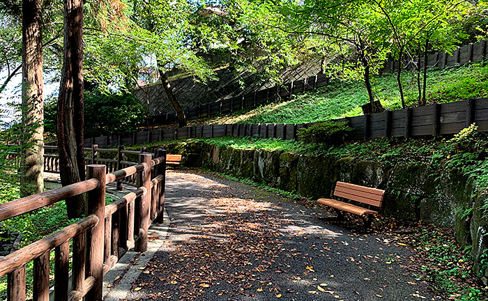 六本杉公園