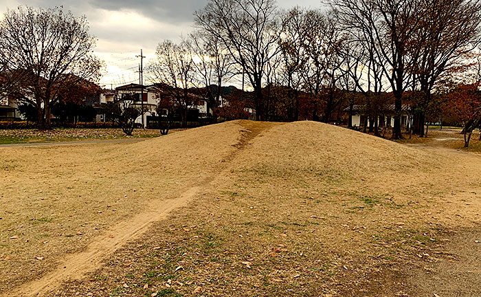 小田野中央公園