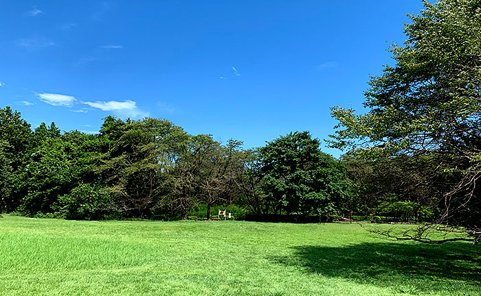 片倉城跡公園