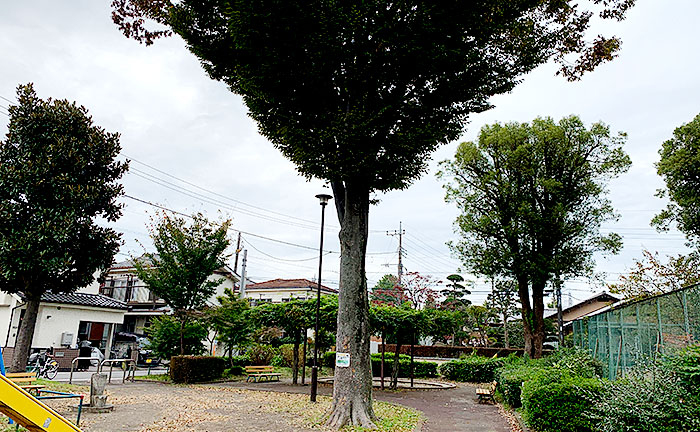 新田公園