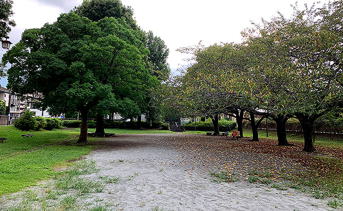 来光寺公園