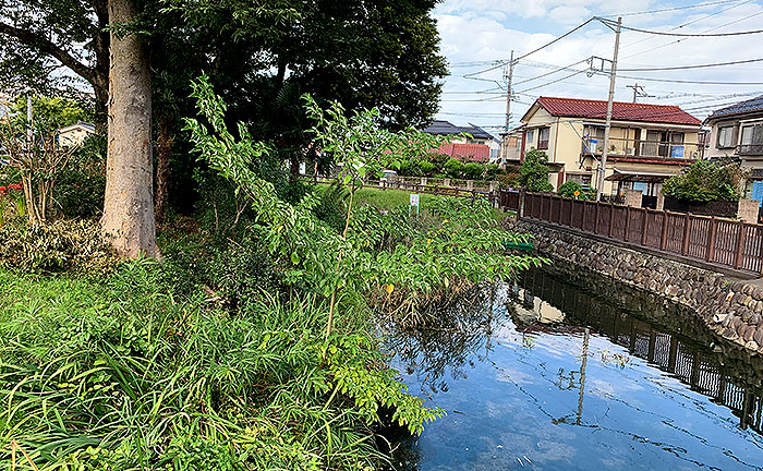 横川弁天池公園