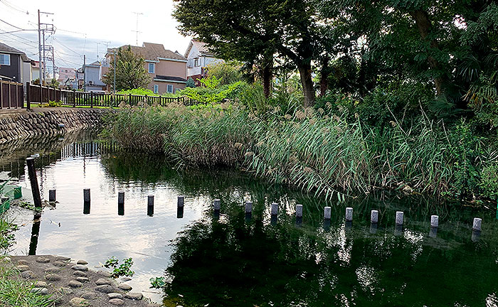 横川弁天池公園