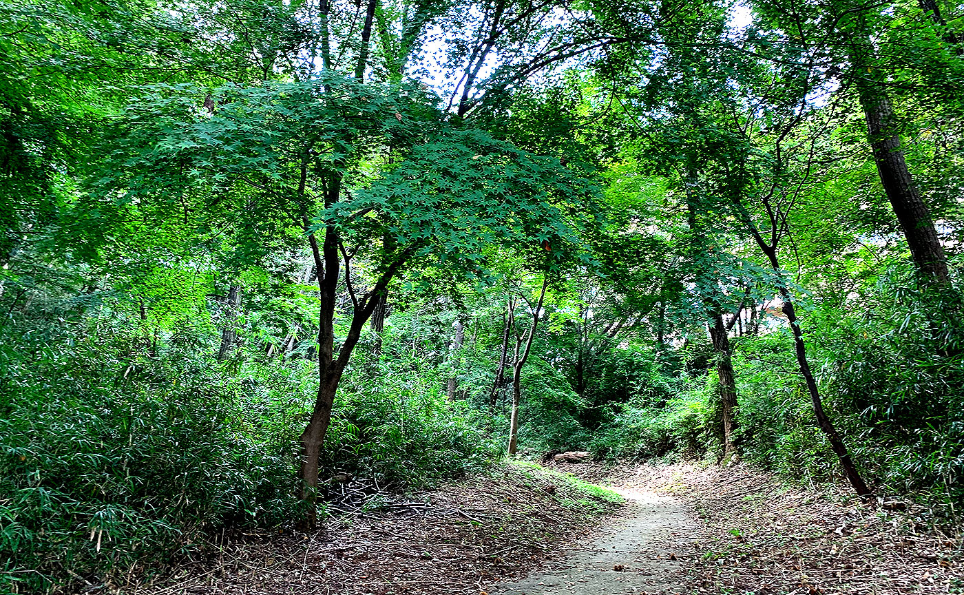 みなみ野の丘公園