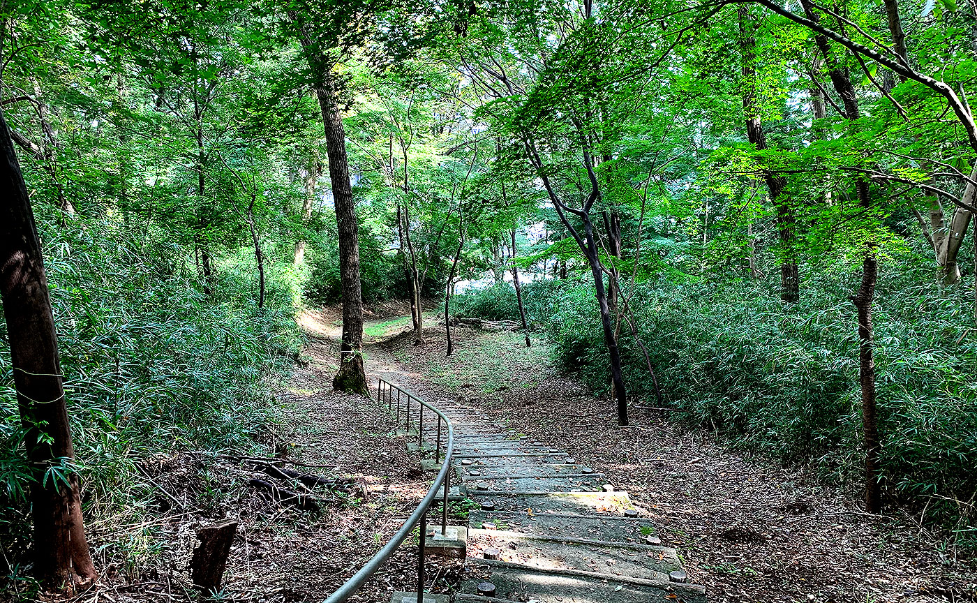 みなみ野の丘公園