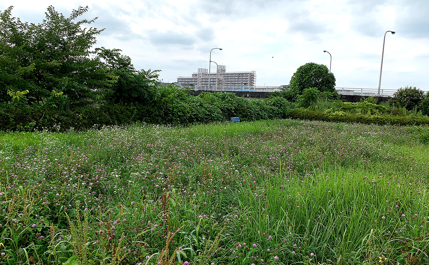 下元本郷児童遊園