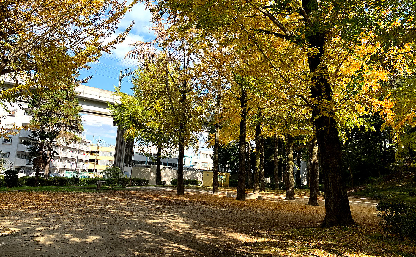 狭間公園