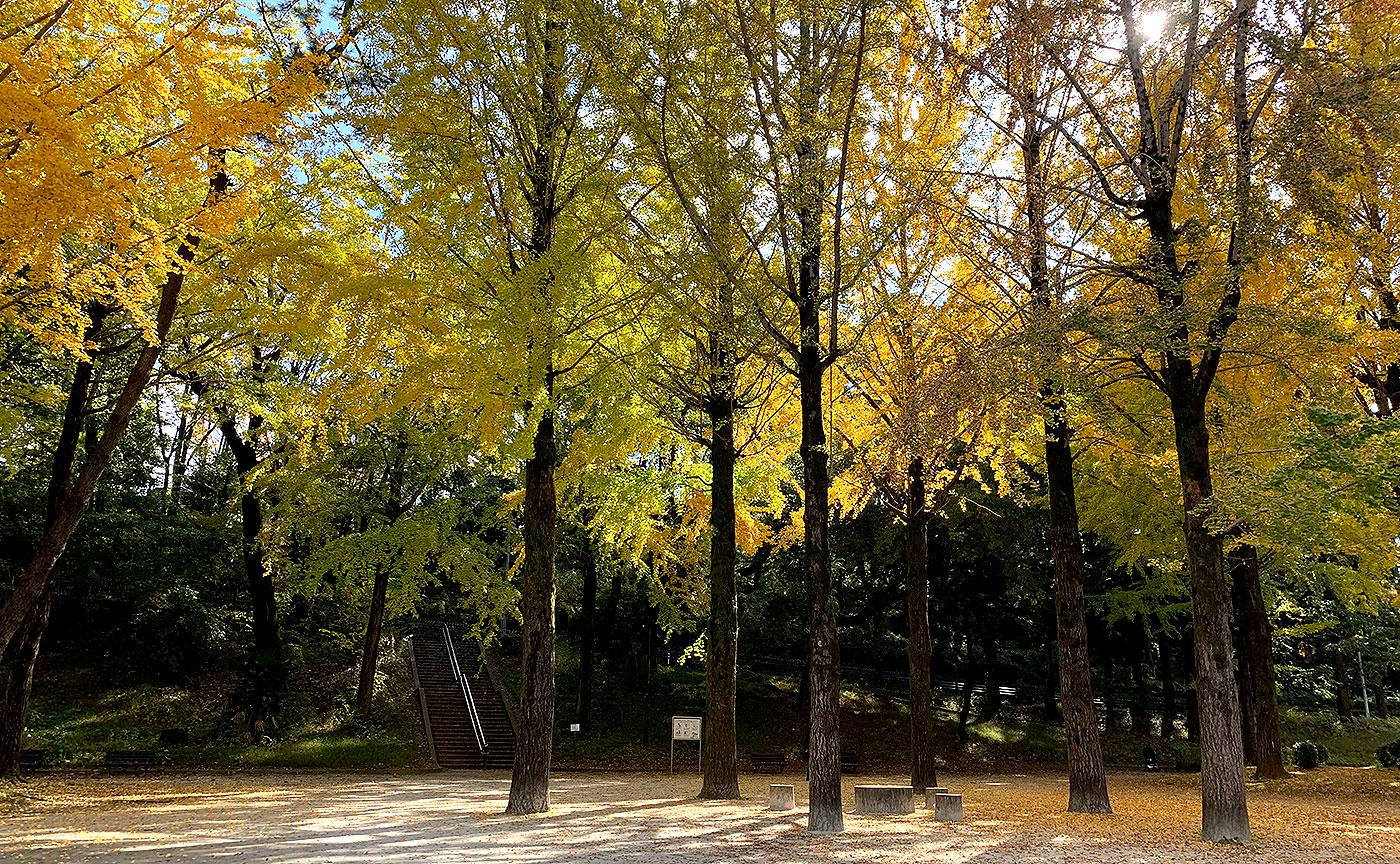 狭間公園