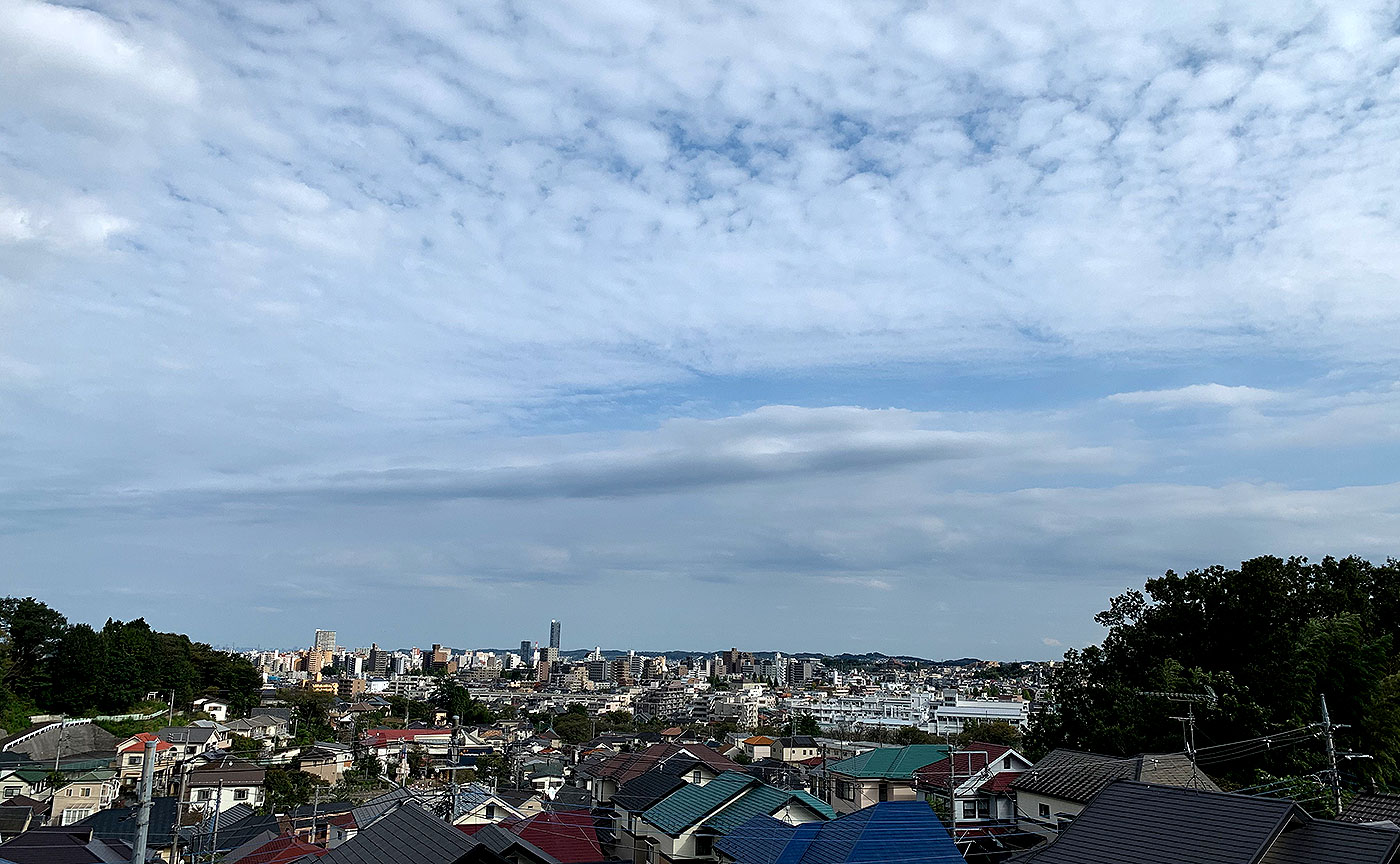 長房竜ヶ谷戸公園