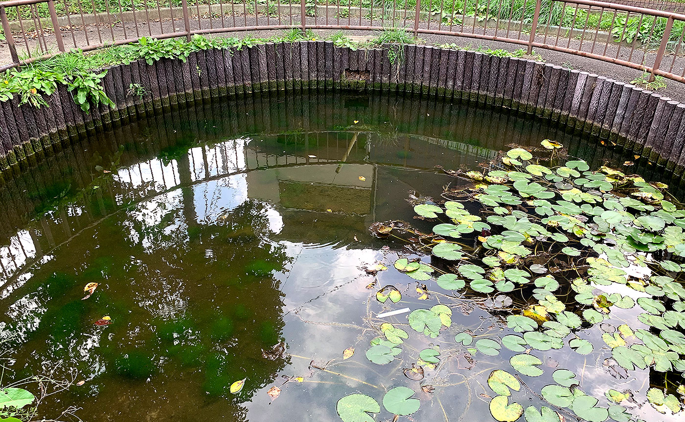 泉町弁天池児童遊園