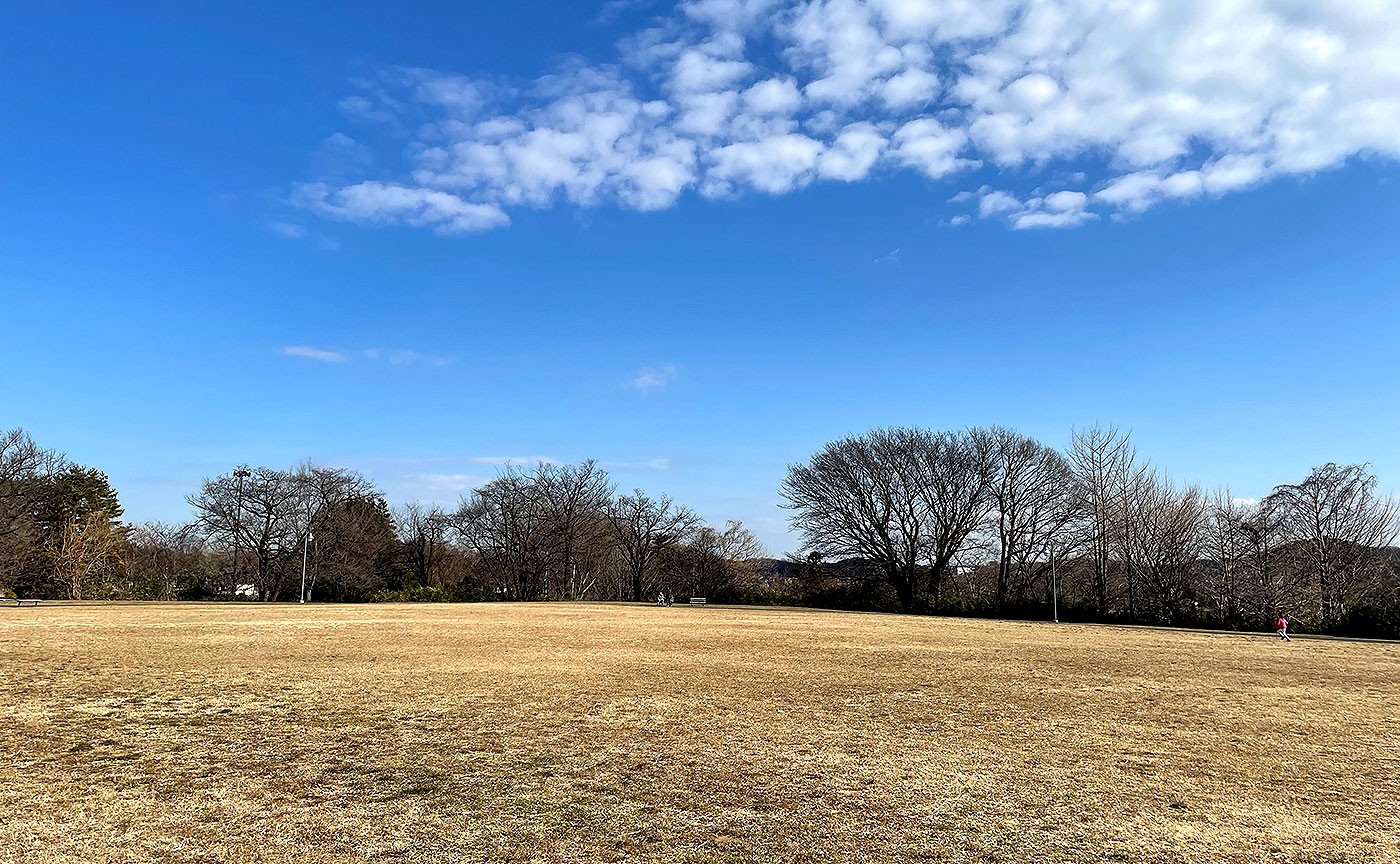 片倉つどいの森公園