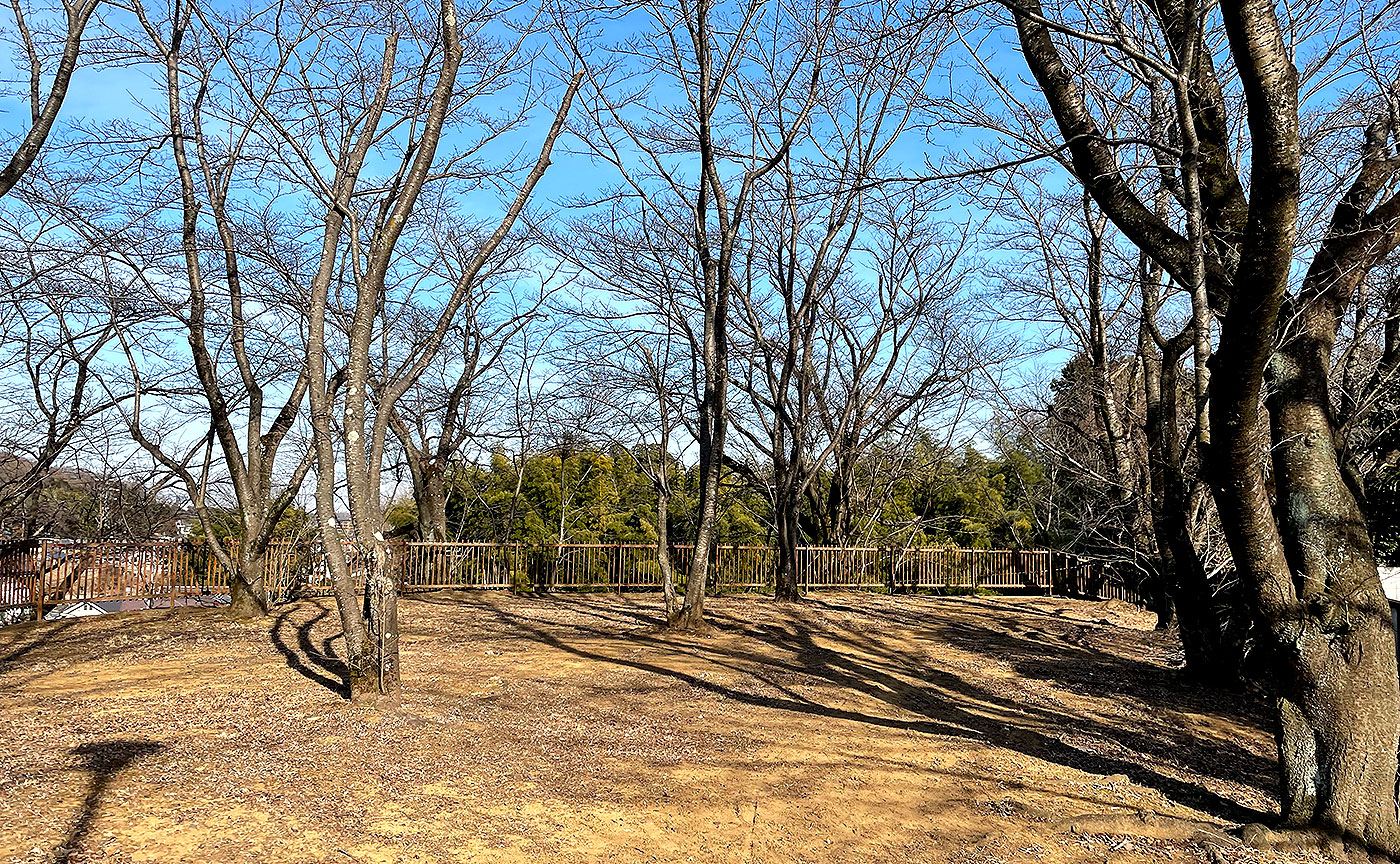 稲荷山公園