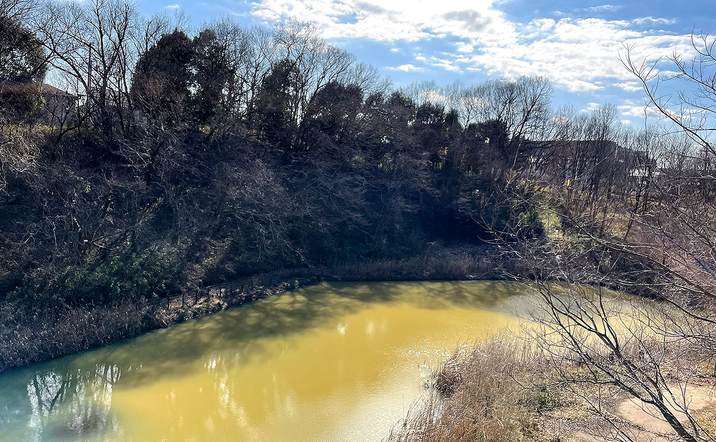 片倉つどいの森公園