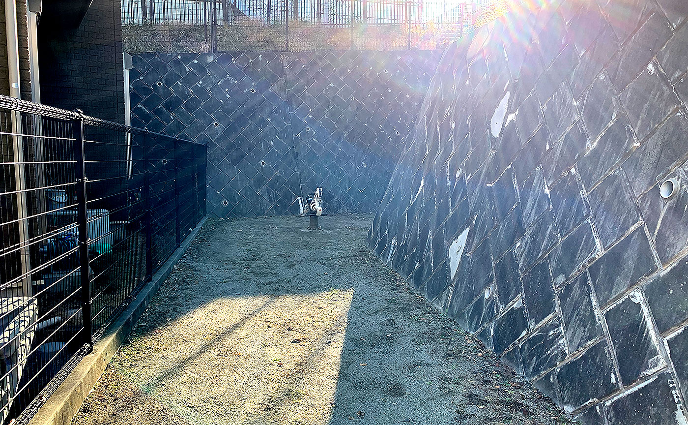 小宮八ヶ上ちびっこ公園